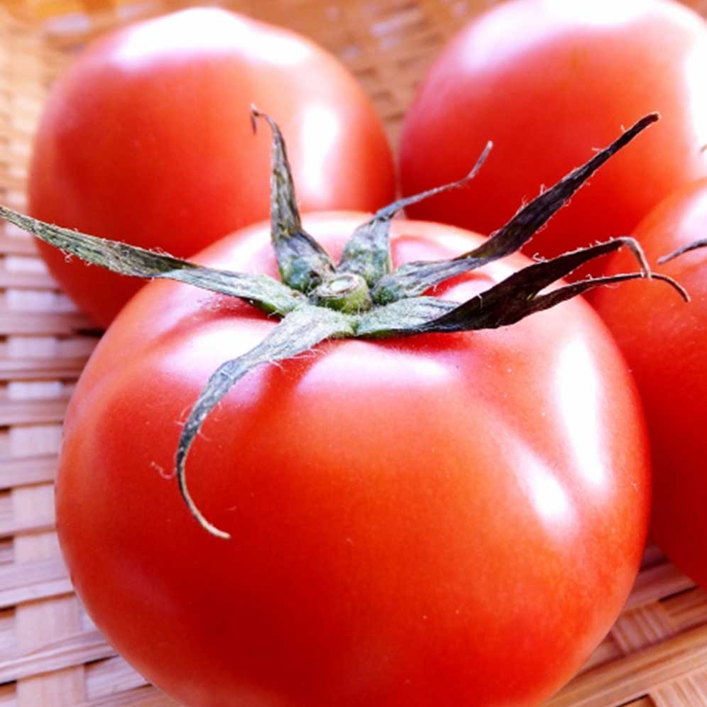 大玉トマト《ナチュラル》